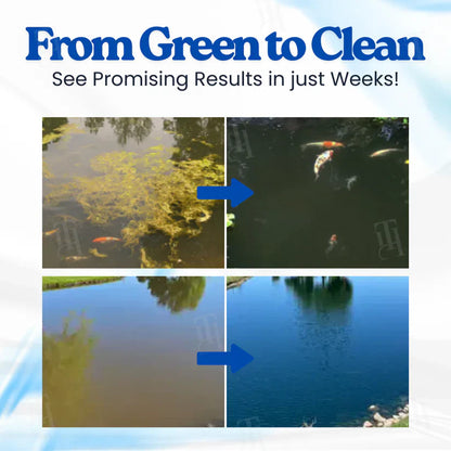 IEY® Aqua-Sentra Pro Formula– End Algae Nightmares, Restore Your Pond’s Beauty Fast!